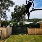 Toorooka NSW Events Australia