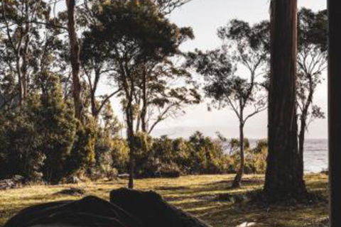 Seagrass On Sunset Bay - Events Australia 2