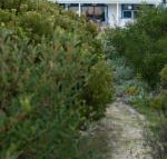 Polperro a quintessential seaside experience - Events Australia