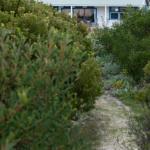 Polperro A Quintessential Seaside Experience - Accommodation Europe 0