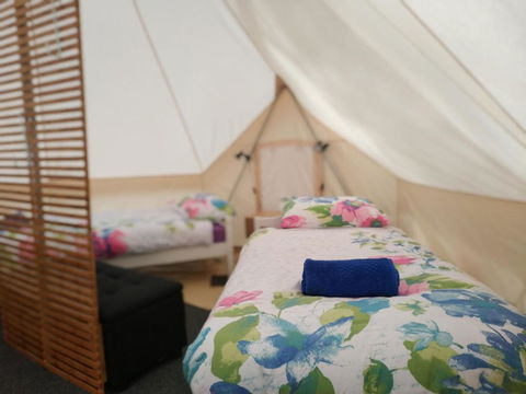 Glamping At Zeehan Bush Camp - Accommodation Europe 6