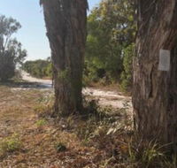 COONARR BEACH  BUNDABERG CAMPING - Events Australia