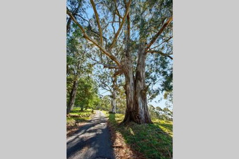 WOOLWAY - Events Australia 2