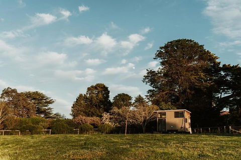 Bedervale Tiny - Tourism Bookings 6