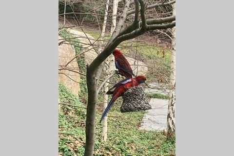 Mt Martha Couples Retreat - Events Australia 4