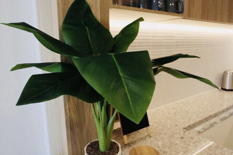 Homely Apartments In Southbank - Events Australia 1