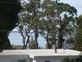 Bawley Break - Events Australia 4