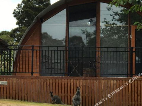Bruny Island Accommodation 43 Degrees Beachside Studio Spa Apartments (1) - Accommodation Europe 1