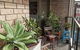 Potts Point Springfield Avenue (I) - thumb 6