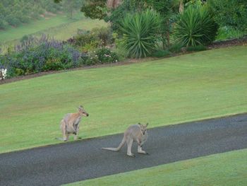 Belle La Vie B & B - Events Australia 5