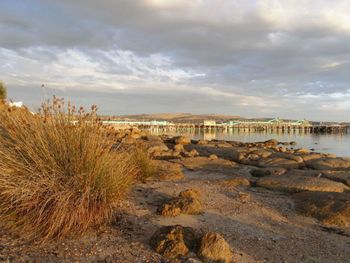 Port Lincoln Holiday Houses - Accommodation Europe 4