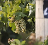 Ingenia Holidays Mudgee Valley - Events Australia