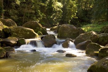 The Cedars Cottages - Tourism Bookings 2