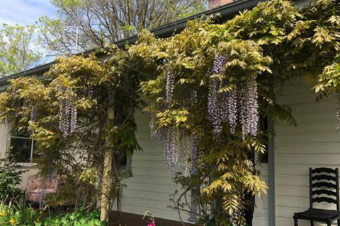 Clarence Cottage - Events Australia 0