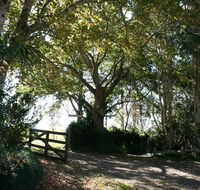 Maleny Mountain Retreat - Accommodation Europe