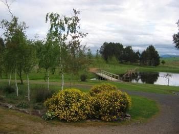 Buttercup Cottage & Private Apartment - Accommodation Europe 3