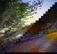 Dayboro Cottages  Llama Walks - Events Australia