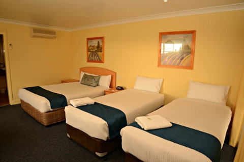 Bathurst Heritage Motor Inn - Tourism Bookings 3