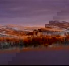 Wombat Hills Cottages - Events Australia