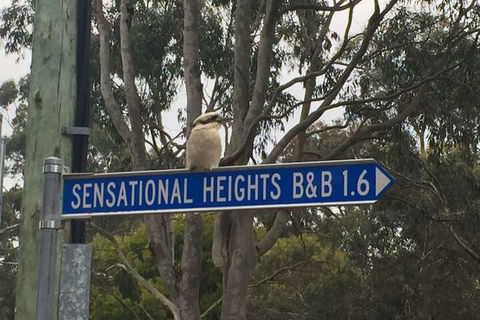 Sensational Heights Bed & Breakfast - Events Australia 2