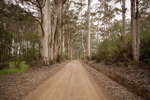 Sensational Heights Bed & Breakfast - Events Australia 1