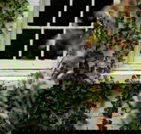 Fitzpatrick's Inn - Events Australia