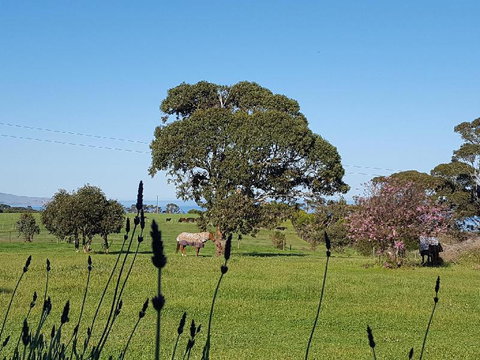 Dees Villa Bed & Breakfast - Events Australia 6