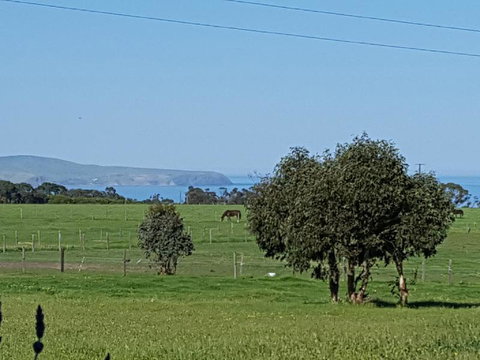 Dees Villa Bed & Breakfast - Events Australia 4