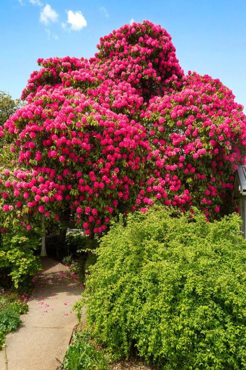 Anabels Of Scottsdale - Events Australia 3