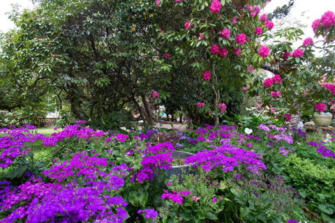 Anabels Of Scottsdale - Events Australia 2