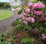 Anabels of Scottsdale - Events Australia