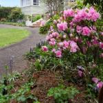 Anabels Of Scottsdale - Events Australia 0