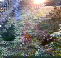 Bryn Glas Farm Stay - Events Australia