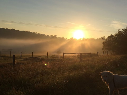 Bryn Glas Farm Stay - Events Australia 2