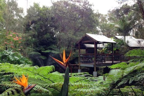 The Oasis At One Mile Beach - Accommodation Europe 2