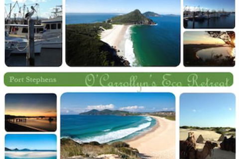 The Oasis At One Mile Beach - Accommodation Europe 5