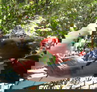 Lorne Bush House Cottages  Eco Retreats - Events Australia