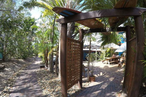 Cool Bananas Backpackers - Events Australia 6