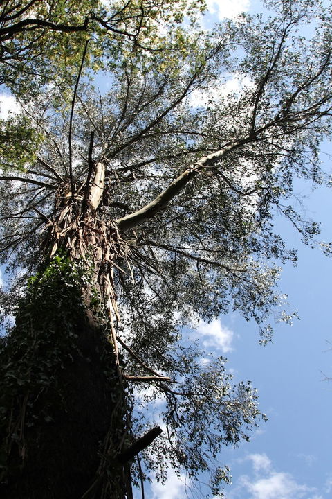 Gatehouse Cottage At Merrow Cottages - Mt Dandenong - Events Australia 4