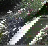 Ivy on Glenelg - Events Australia