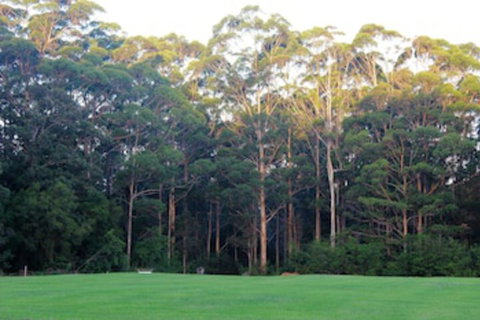 Tinglewood Cabins - Events Australia 0