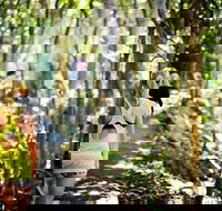 Cashelmara Beachfront Apartments - Events Australia