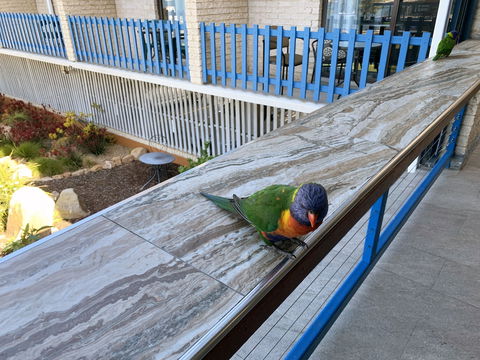 Mariners On The Waterfront - Events Australia 5