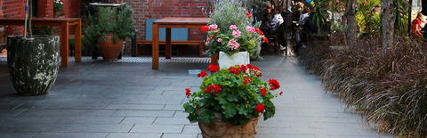 Sinclairs City Hostel - Events Australia 6