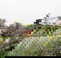 A Must At Coonawarra - Events Australia