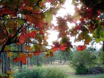 Elfin Hill Country Accommodation - Accommodation Europe 0