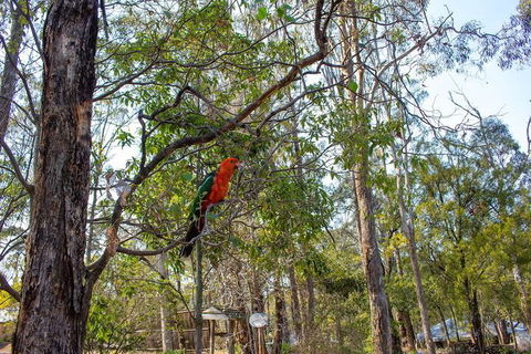 Kalimna Woods Cottages - Events Australia 2