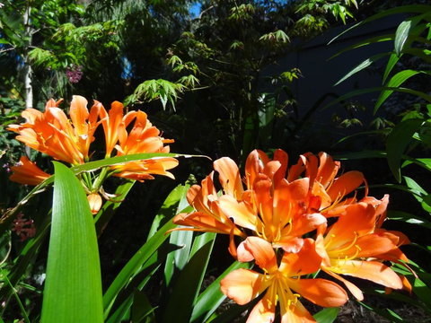 The Gallery Accommodation McCrae - Events Australia 5