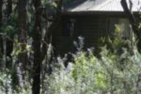 Twin Falls Bush Cottages - Tourism Bookings 0