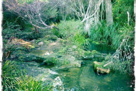 Twin Falls Bush Cottages - Tourism Bookings 2